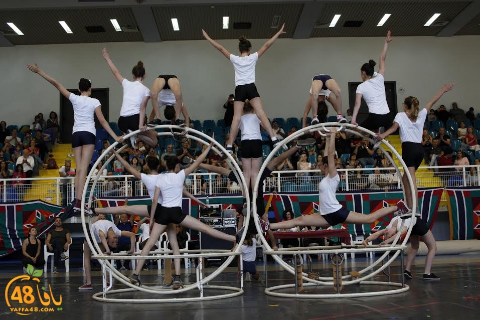 7aflat jameiehyrty (4).jpg